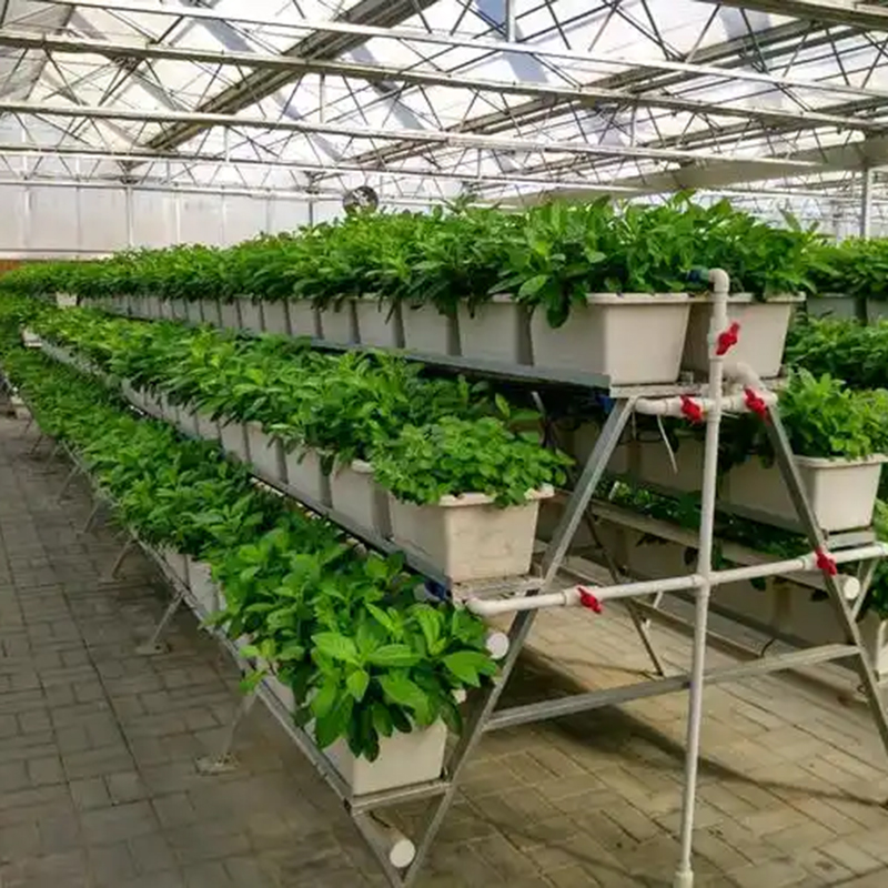 南宁市植物工厂苗床 - 方案